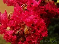 DSCN1988.webp