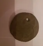 Coin 2.webp