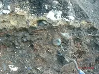GEDC2122.webp