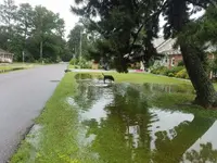 20180730_165913.webp