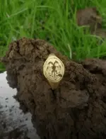 FireShot Screen Capture #399 - 'Gold 16th century ring unearthed _' - stratfordobserver_co_uk...webp FireShot Screen Capture #399 - 'Gold 16th century ring unearthed _' - stratfordobserver_co_uk...webp