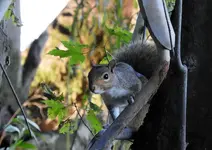 K1600_DSCN0606.webp