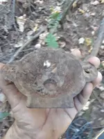 20180923_144610.webp