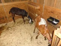 DSC00018.webp