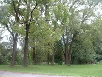 DSCF0030.webp