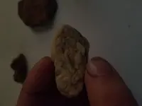 20180923_180254.webp