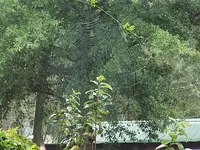 DSCN2163.webp