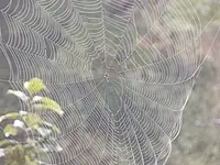 DSCN2165.webp