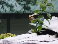 DSCN2168.webp