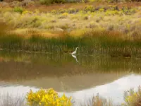trip 091318 2.webp