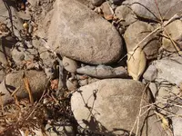 20180907_141311.webp