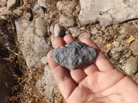 20180907_141328.webp