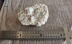 20180923_101538-ccfopt.webp