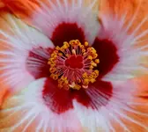 K1600_013_InPixio.webp