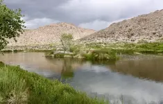 Oasis Valley.webp