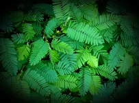 K1600_007_InPixio.webp
