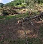 20180811_171357.webp