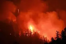 wildfire.webp
