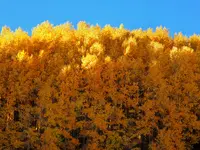 trip 091418 4.webp