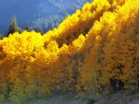 trip 091418 5.webp