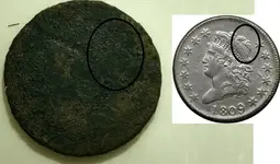 coin.webp
