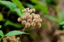 DSC_0453.webp