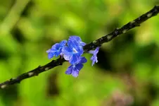 DSC_0472.webp