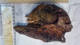 SwordHandleMaybeInvertedWRulers2Sept15_2018.webp