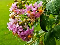DSCN2020.webp