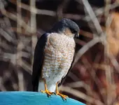 K1600_DSCN9715.webp