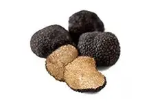 truffles b.webp