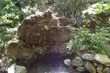 DSCF1485.webp