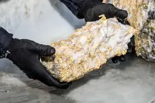 These gold-covered rocks weigh in at 90kg and 60kg respectively..webp