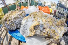 Gold 'Mother Lode' Unearthed Underground in Kambalda Delivers $15 Million in Just Four Days (1).webp