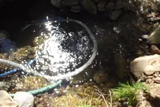 DSCF1486.webp