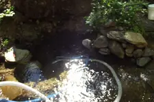 DSCF1487.webp