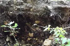 DSCF1489.webp