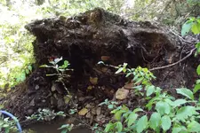 DSCF1490.webp