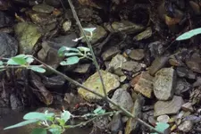DSCF1491.webp