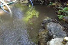 DSCF1492.webp