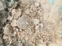 20180818_101944.webp