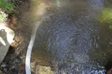 DSCF1493.webp