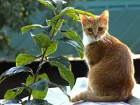 DSCN2146.webp