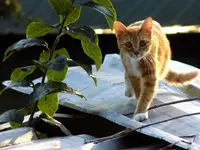 DSCN2149.webp