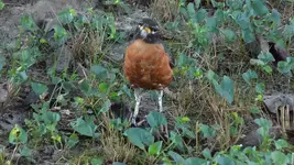 DSCN2143.webp