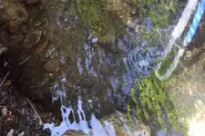 DSCF1499.webp