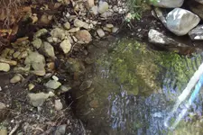 DSCF1500.webp