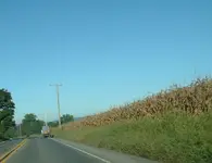 DSCF0003.webp