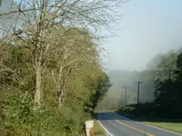 DSCF0006.webp