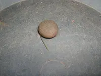 DSCF0029.webp